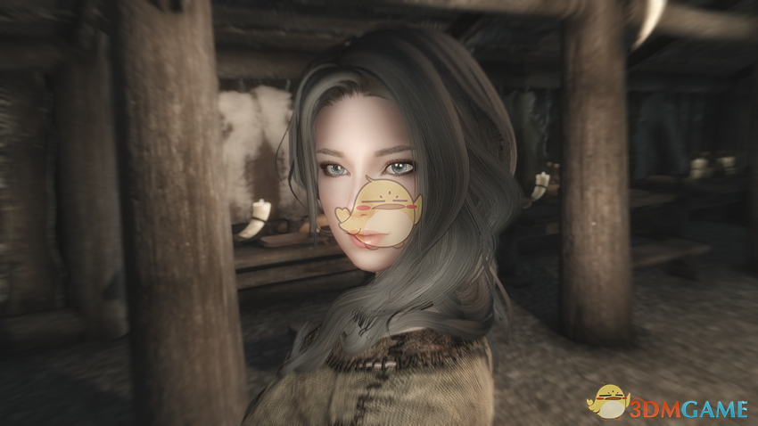 《上古卷轴5:天际重制版》jenny性感美女随从mod