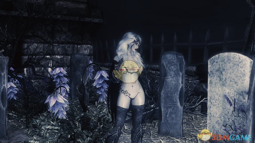 上古卷轴5天际ladyarkay暗黑女武神独立随从mod