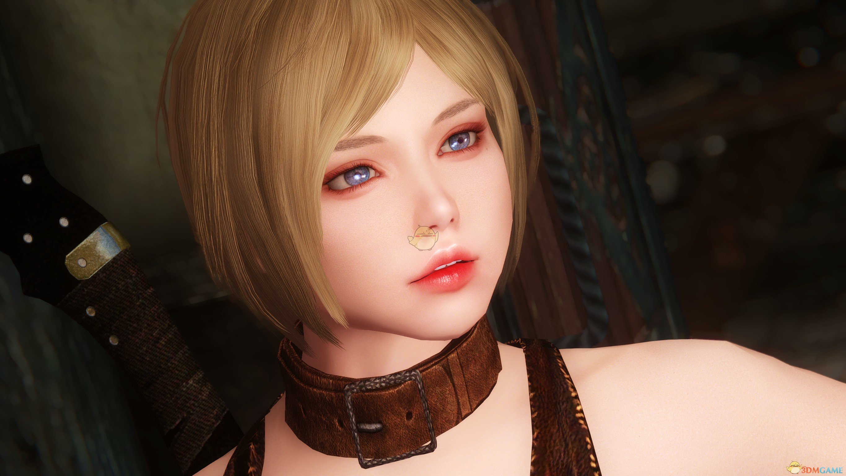 上古卷轴5天际kyra美丽短发独立女性随从mod