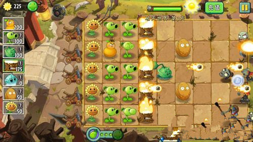 《植物大战僵尸2》功夫世界第三关攻略