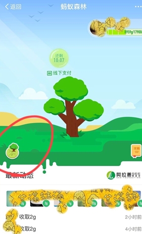 《支付宝》蚂蚁森林模拟地图是什么？怎么进