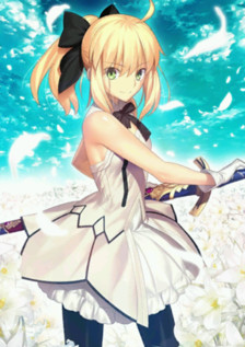 《FGO》各职阶英灵推荐与解析