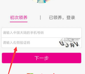 《QQ小冰》怎么开启？QQ小冰领养步骤介绍