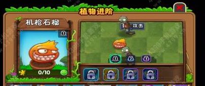 《植物大战僵尸2》植物图鉴之机枪石榴（每月特供）