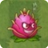 《植物大战僵尸2》植物图鉴之火龙果（每月特供）