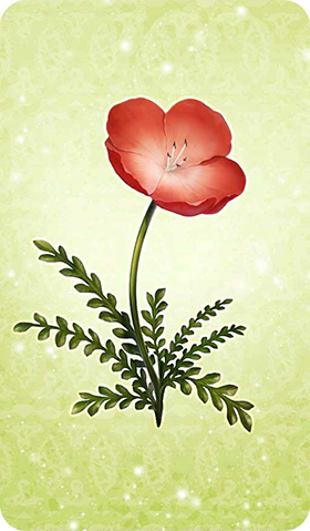 《命运冠位指定》红花图鉴