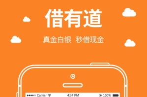 《借有道》实用性评测分析