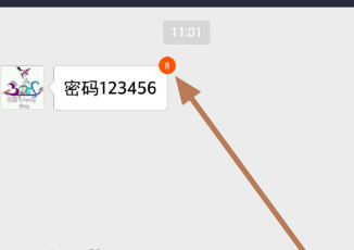 《支付宝》阅后即焚功能的使用方法介绍