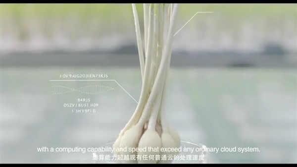 阿里云计蒜的相关功能作用介绍