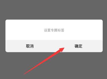 《nice》设置闪动标签的方法介绍