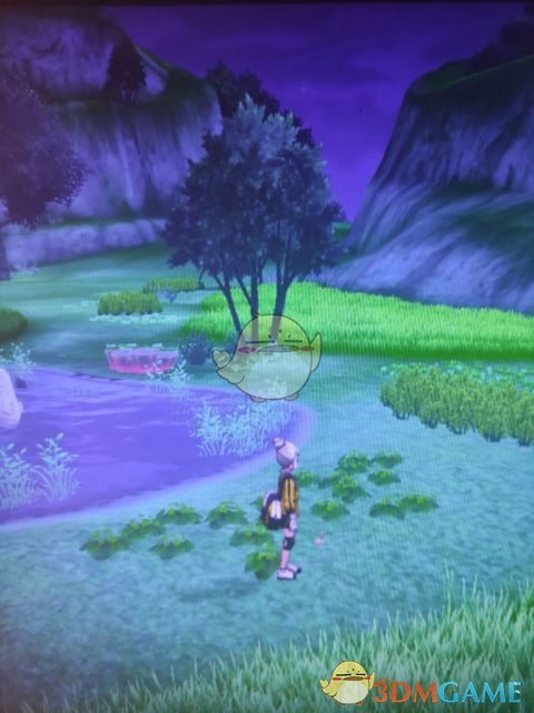 《宝可梦：剑/盾》清凉湿原地鼠位置分享