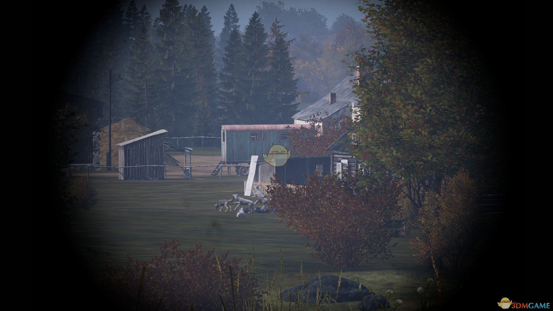 《DayZ》野外狼群应对方法分享