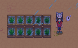 《暖暖村物语》作物种植攻略