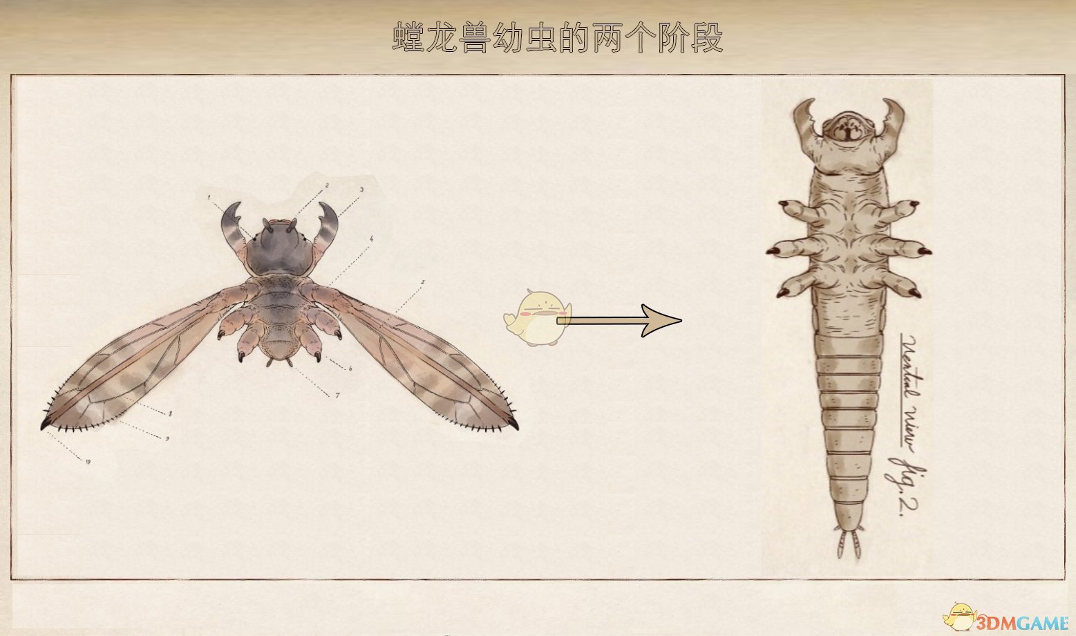 《天外世界》翡翠鸟星系螳龙兽生物图鉴