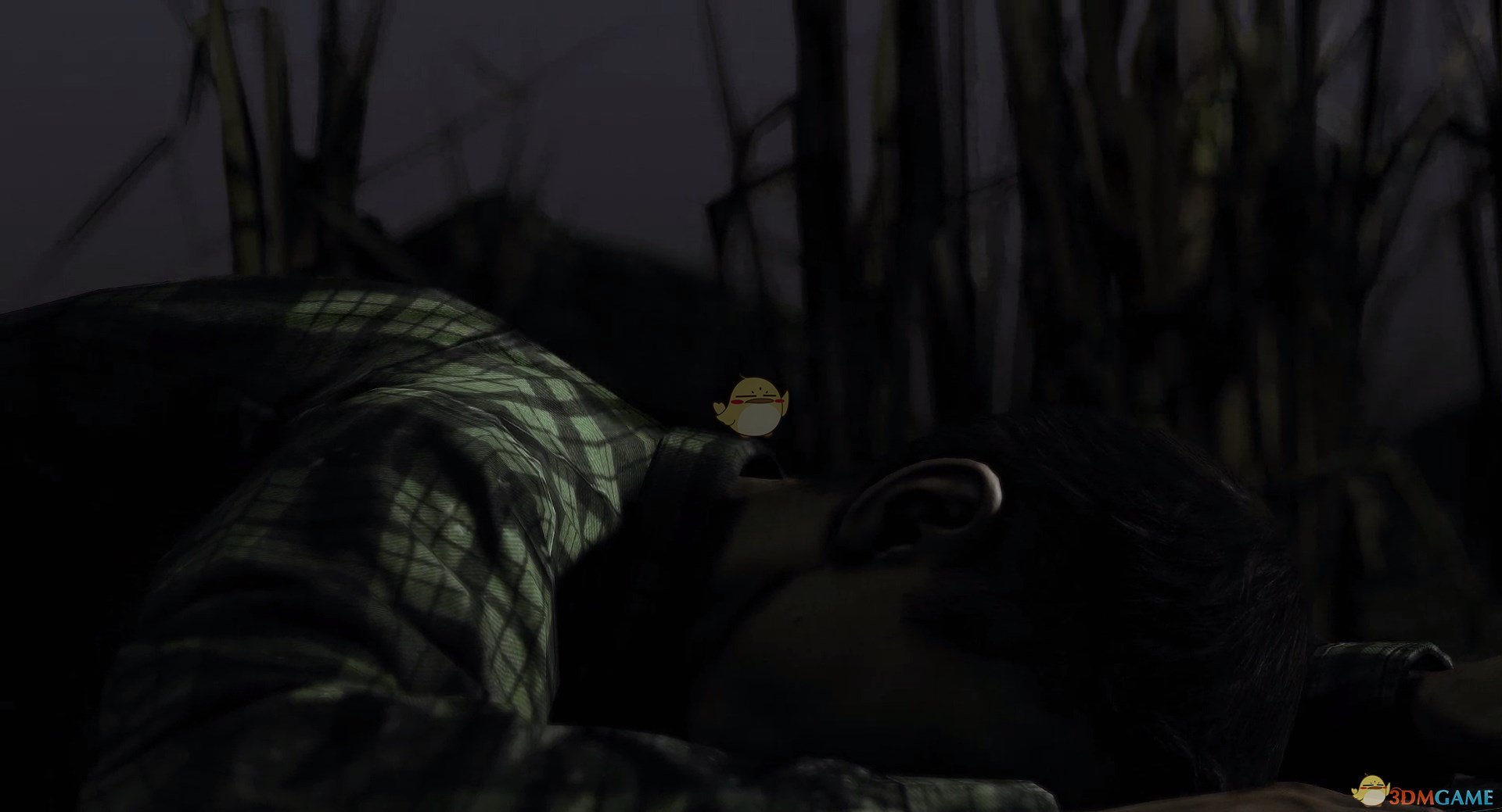 《DayZ》荧光棒种类介绍
