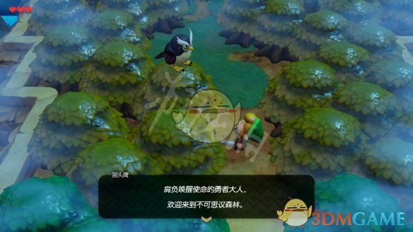 《塞尔达传说:织梦岛》迷雾森林攻略