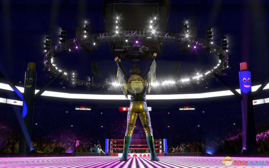 《WWE 2K20》游戏收藏版内容一览
