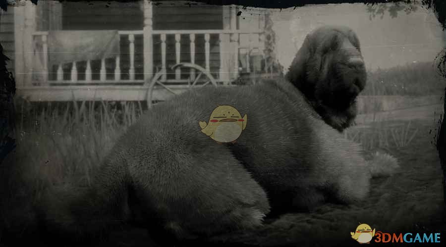 《荒野大镖客2》寻血猎犬图鉴一览