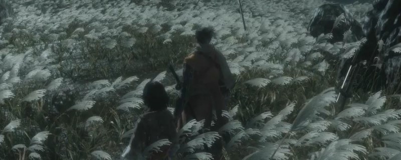 只狼水生村在哪