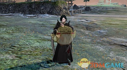 《火焰纹章：风花雪月》术士兵种说明