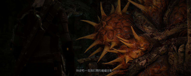 巫师3林中女巫完美结局