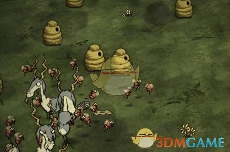 《饥荒》取消蜜蜂仇恨技巧分享