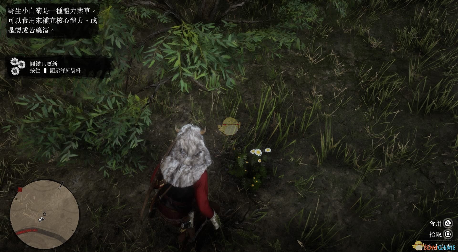 《荒野大镖客2》全草药植物位置一览