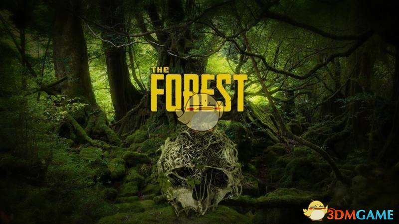 《森林》V1.0版剧情线索整理（总篇）
