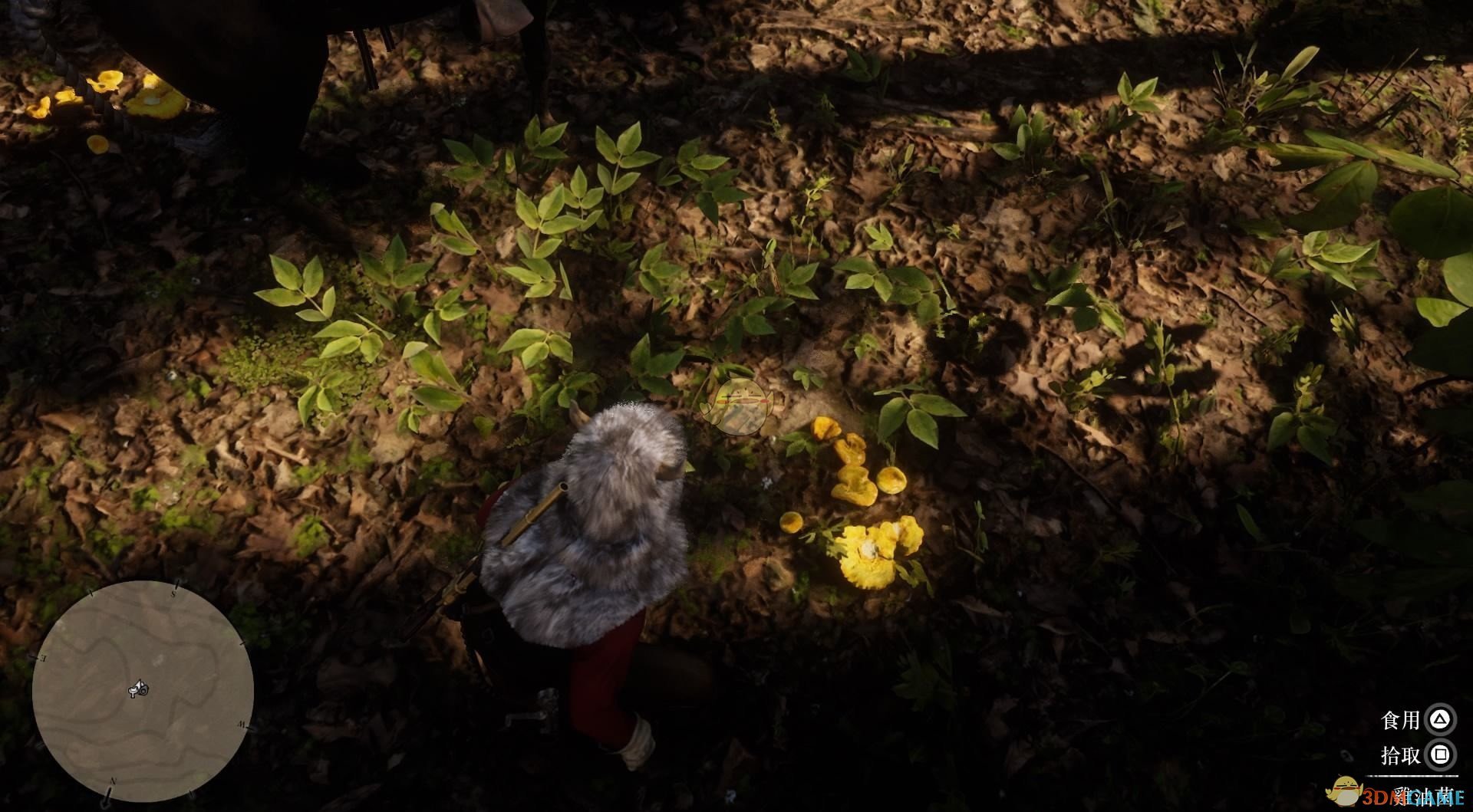 《荒野大镖客2》全草药植物位置一览
