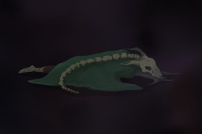 《杀戮尖塔》静默猎手怎么玩 The Silent相关小百科