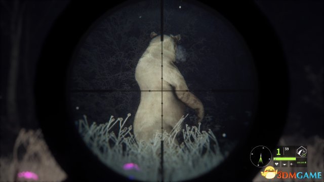 猎人荒野的呼唤dlc梅德韦泰嘉国家公园简单测评