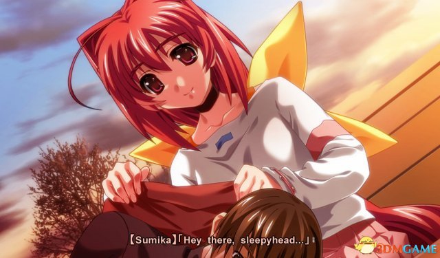 Muv-Luv Alternative多少钱