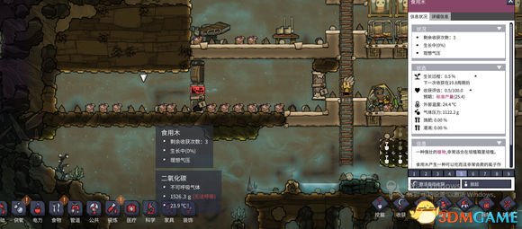 缺氧完美野外种植方法 野外怎么种植