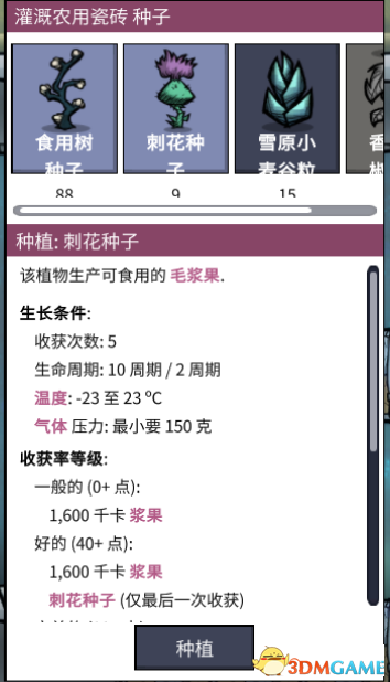 缺氧直茎刺花怎么种 缺氧直茎刺花窒息解决方法