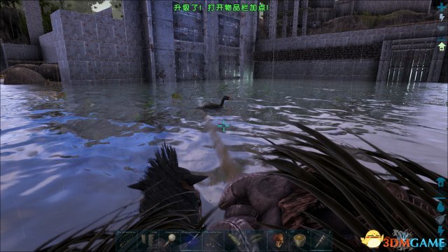 3dmgame