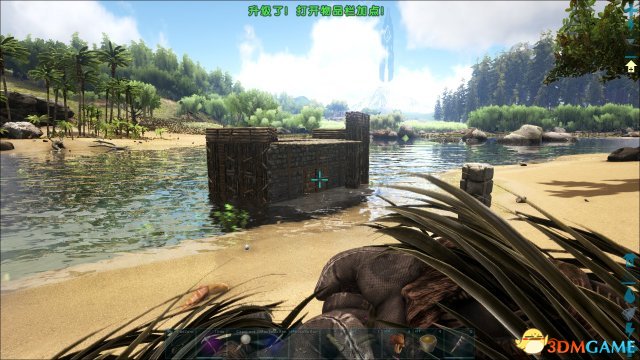 3dmgame