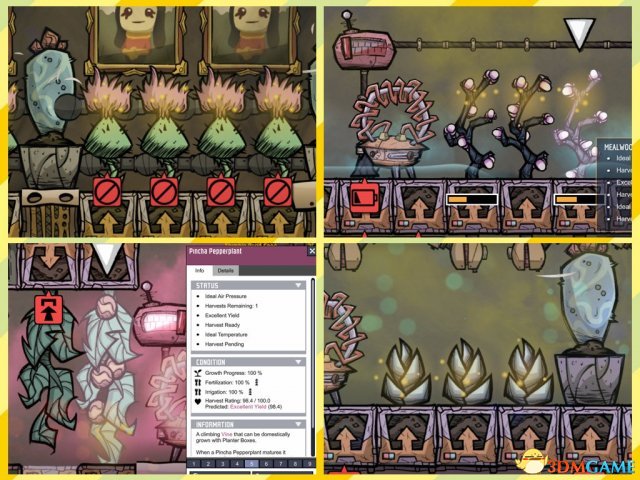缺氧全植物完美种植技巧及收获条件详细说明