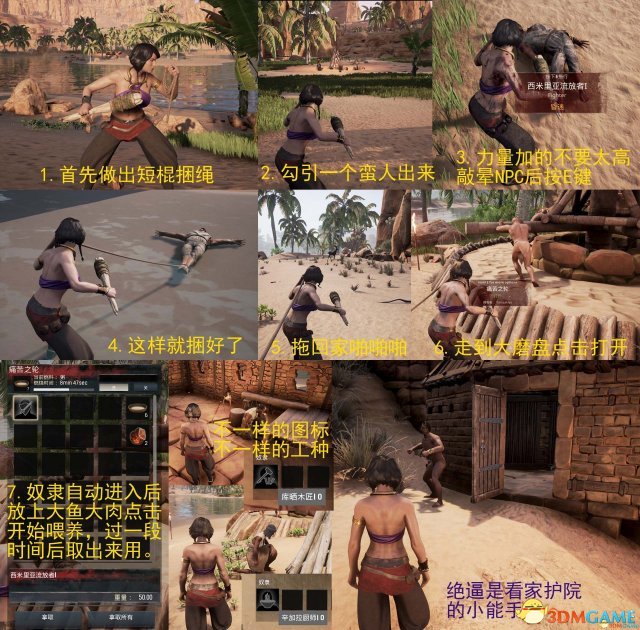 流放者柯南抓奴隶方法图文教程 新手怎么抓奴隶