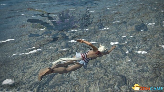 自由泳