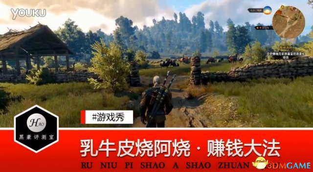 巫师3血与酒刷钱视频