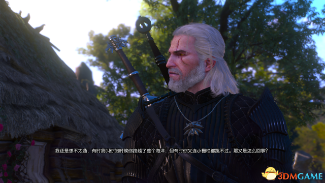 巫师3马之灵任务怎么做