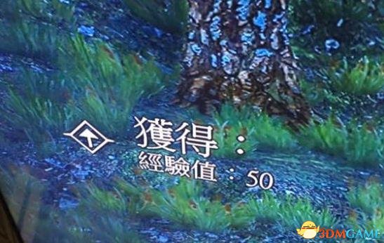 巫师3无限刷经验