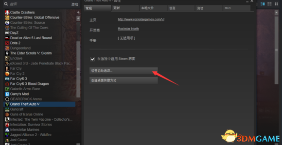 GTA5PC版离线启动参数怎么设置