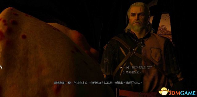 巫师3美好家园任务