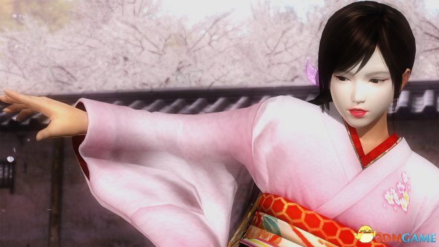 死或生5最后一战 PC版女角色心艺者脸蛋 心艺姬妆