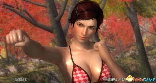 死或生5最后一战 米拉对战八级难度招式玩法教学指南