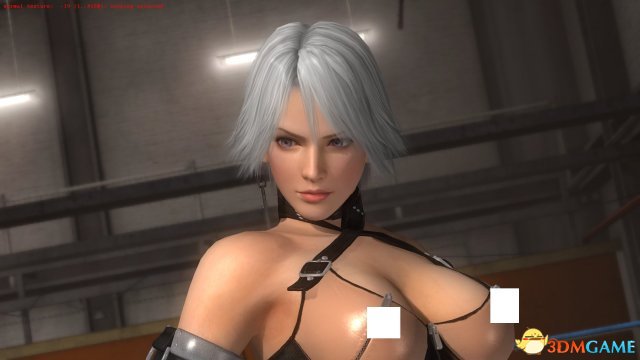 死或生5最后一战 上空装三套上部全果版 福利向MOD