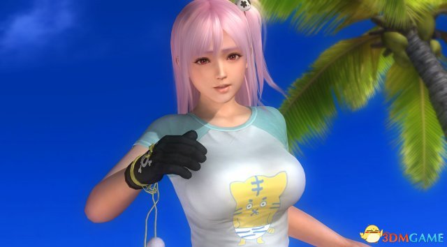 死或生5最后一战 PC版清凉穗乃果超级索尼子装