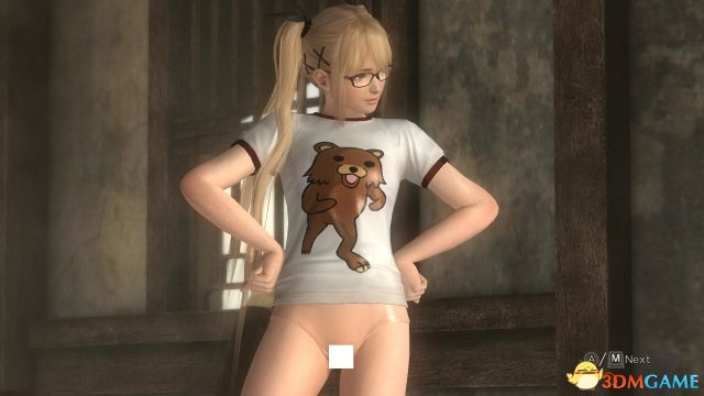 死或生5最后一战 PC版玛丽露底装MOD 绅士福利向MOD