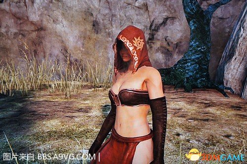 黑暗之魂2 最性感的套装图片分享 堆土塔上层女法师